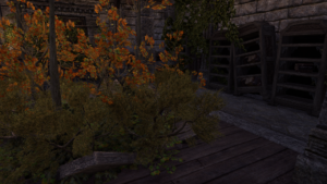 Annonere's Derelict Library! ESO Beautiful Library Tour! Touring homes and getting decoration inspiration! Streamed at twitch.tv/jhartellis on December 2, 2018